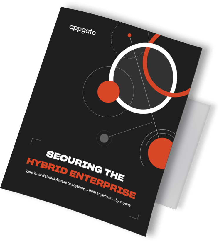 Securing the hybrid enterprise